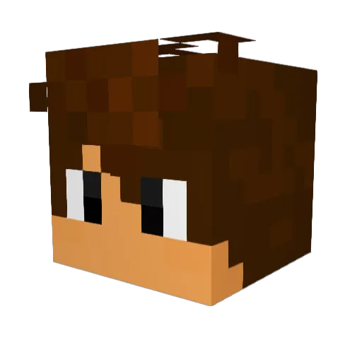 ryry361 Minecraft avatar head, 3D render