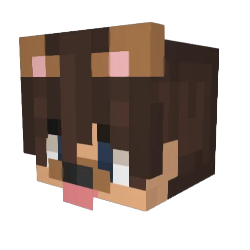 ryryan14 Minecraft avatar head, 3D render