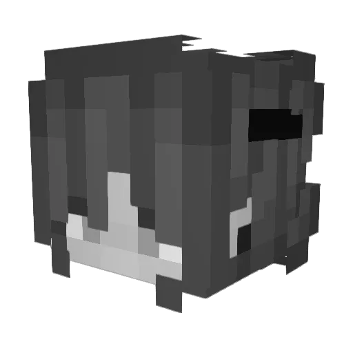 rysuki_ Minecraft avatar head, 3D render