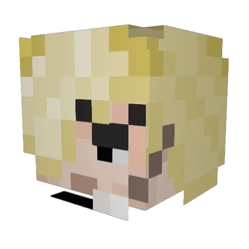 ryt123 Minecraft avatar head, 3D render