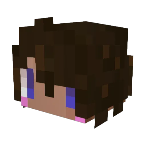 ryu1221 Minecraft avatar head, 3D render