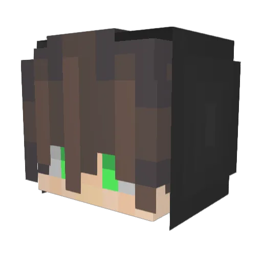 ryuki0017 Minecraft avatar head, 3D render