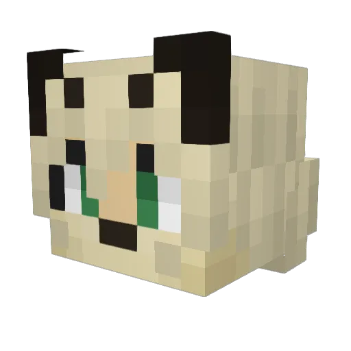 ryupaws Minecraft avatar head, 3D render