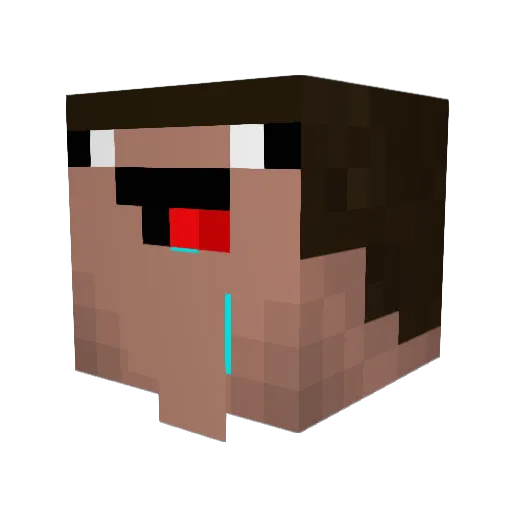 ryuryuryuzz Minecraft avatar head, 3D render