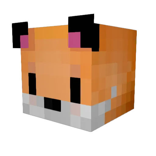 ryusa_08 Minecraft avatar head, 3D render