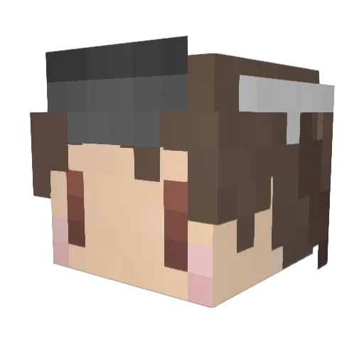 ryuuzyou Minecraft avatar head, 3D render