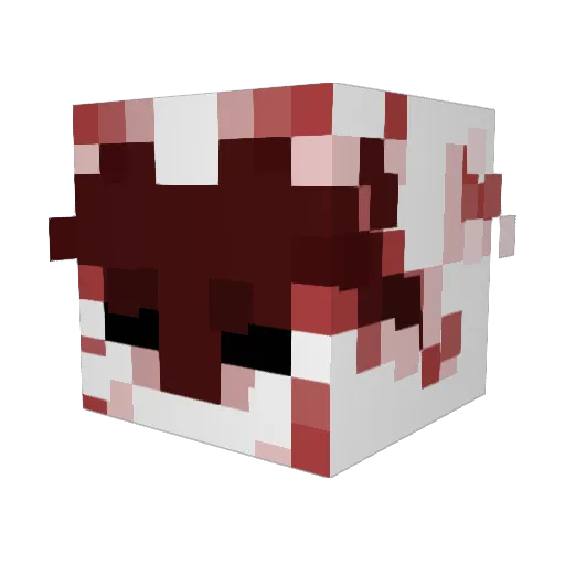 ryxint Minecraft avatar head, 3D render