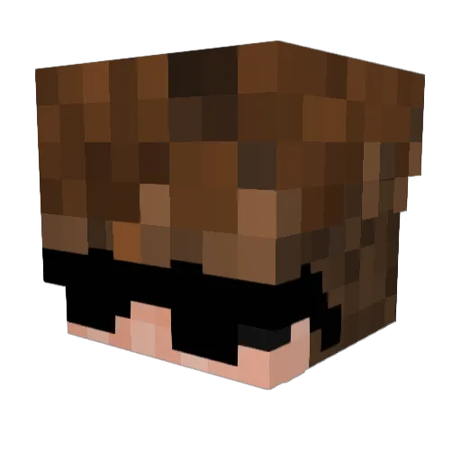 ryylol Minecraft avatar head, 3D render