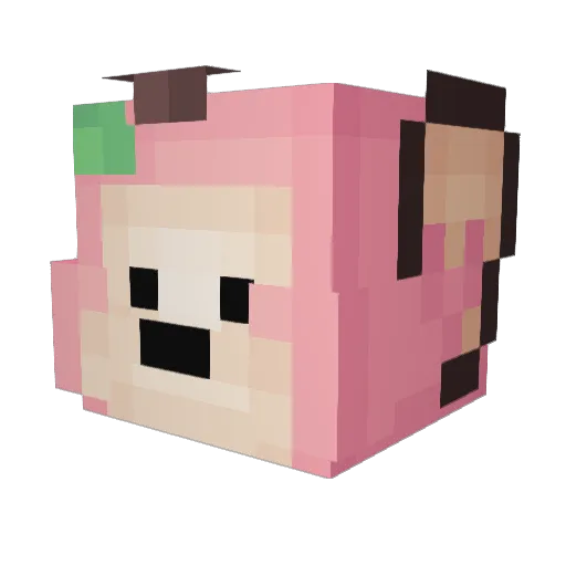 ryyyyyyyn Minecraft avatar head, 3D render
