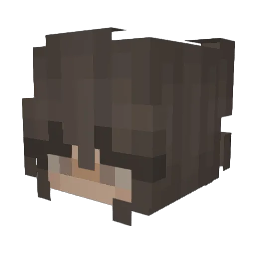 rzne Minecraft avatar head, 3D render