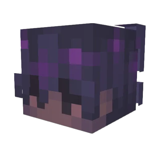 rzongler Minecraft avatar head, 3D render