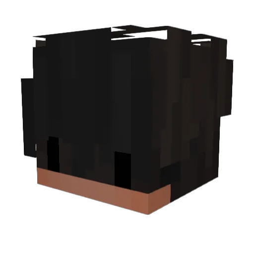 rzz9 Minecraft avatar head, 3D render