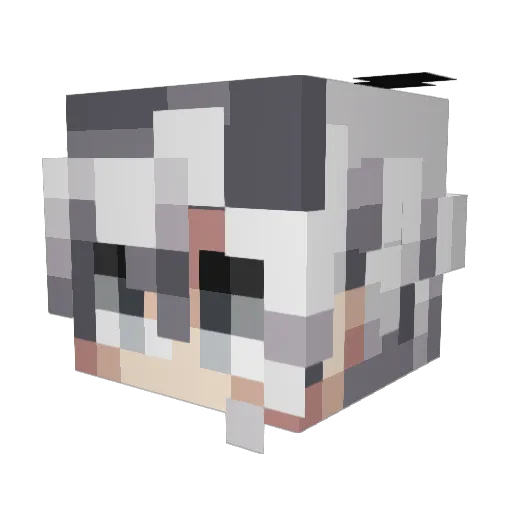 rzzrd Minecraft avatar head, 3D render