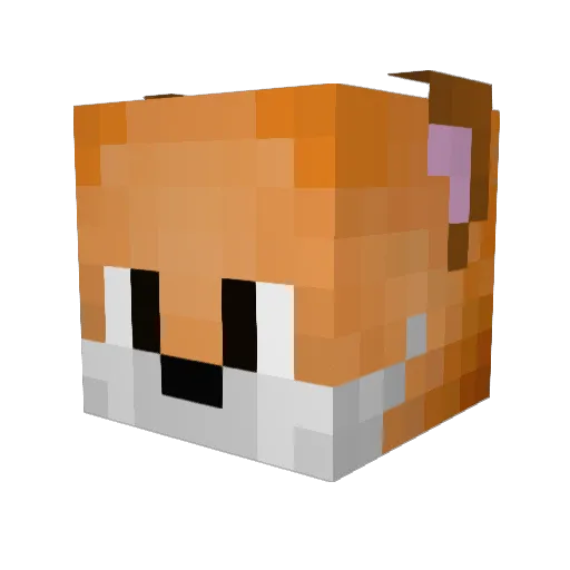 s0_0wned Minecraft avatar head, 3D render