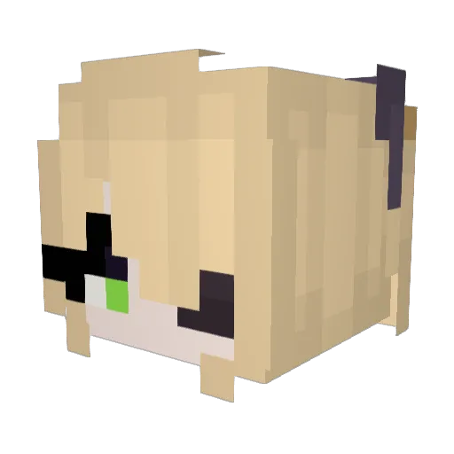 s0fiaa Minecraft avatar head, 3D render