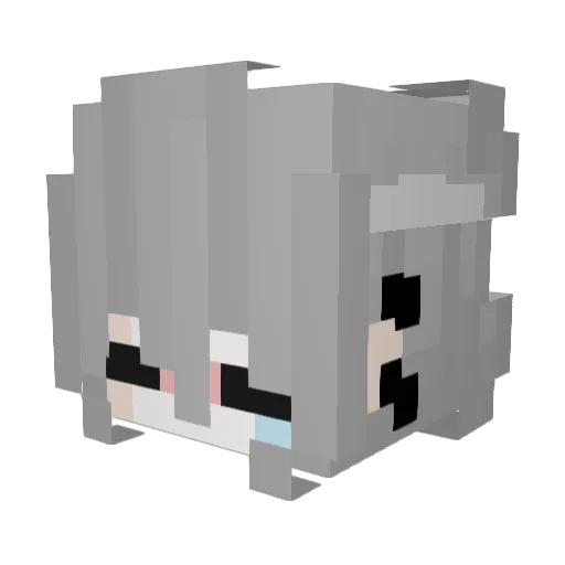 s0fik_ Minecraft avatar head, 3D render