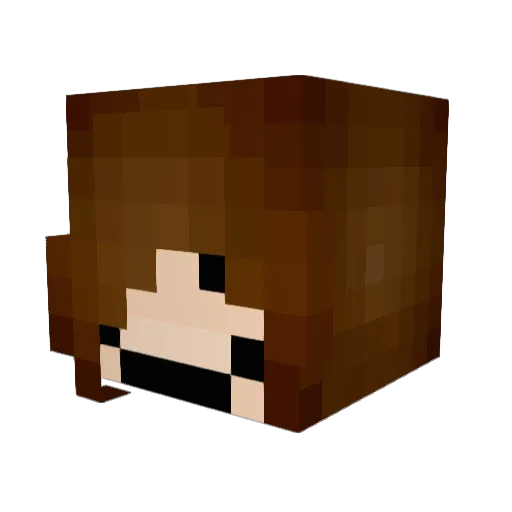s0ggy_cookie Minecraft avatar head, 3D render