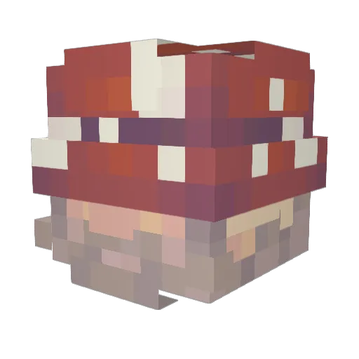 s0ggym0ss Minecraft avatar head, 3D render