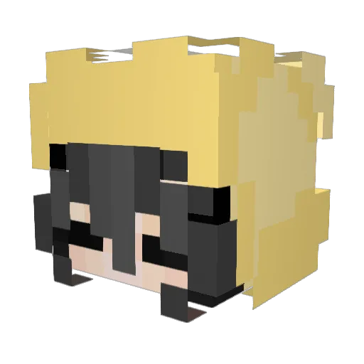 s0l4rpl3x Minecraft avatar head, 3D render