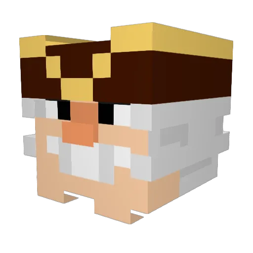 s0mbdy Minecraft avatar head, 3D render