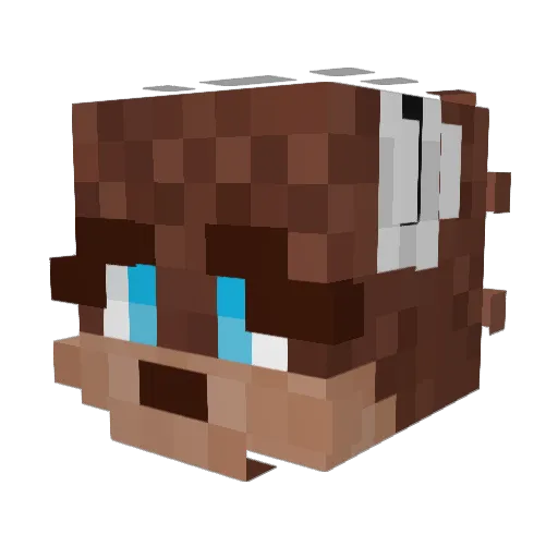 s0meli1p Minecraft avatar head, 3D render
