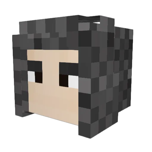 s0merled Minecraft avatar head, 3D render