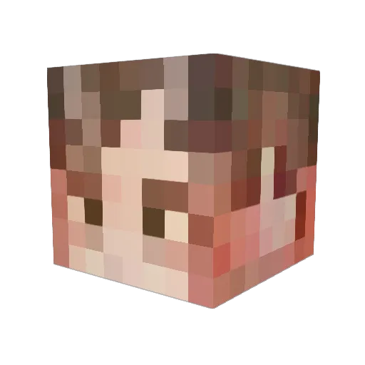 s0nd_3r Minecraft avatar head, 3D render