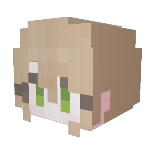 s0onn Minecraft avatar head, 3D render