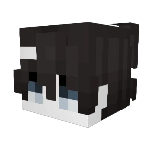 s0or Minecraft avatar head, 3D render