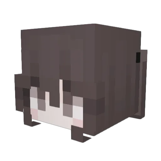 s0t4 Minecraft avatar head, 3D render
