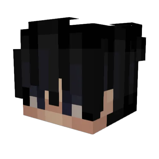 s0ulhunt3r19 Minecraft avatar head, 3D render