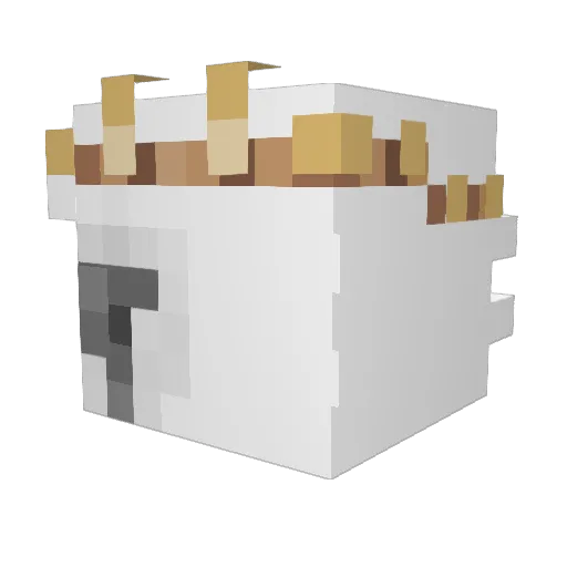 s0ulkills Minecraft avatar head, 3D render