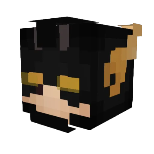 s0vereigns1krr Minecraft avatar head, 3D render