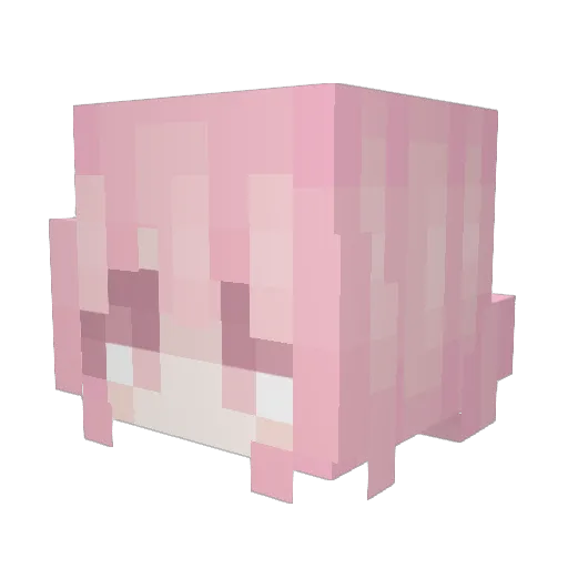 s0z1s Minecraft avatar head, 3D render
