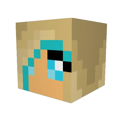 s1195hj Minecraft avatar head, 3D render