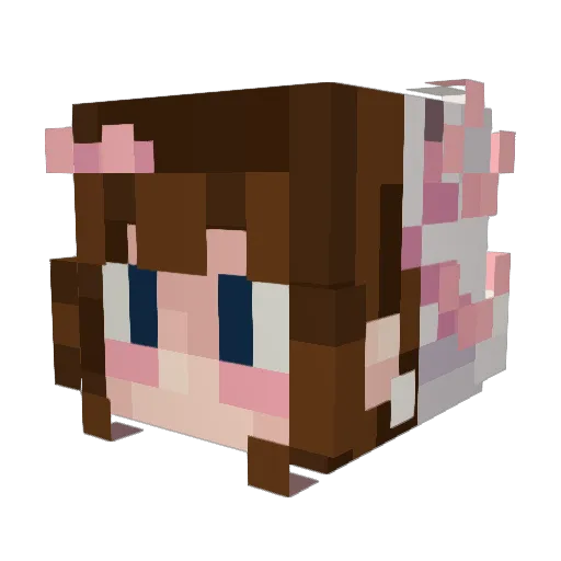 s1ay134 Minecraft avatar head, 3D render