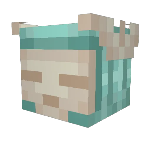 s1eepyhe4d Minecraft avatar head, 3D render
