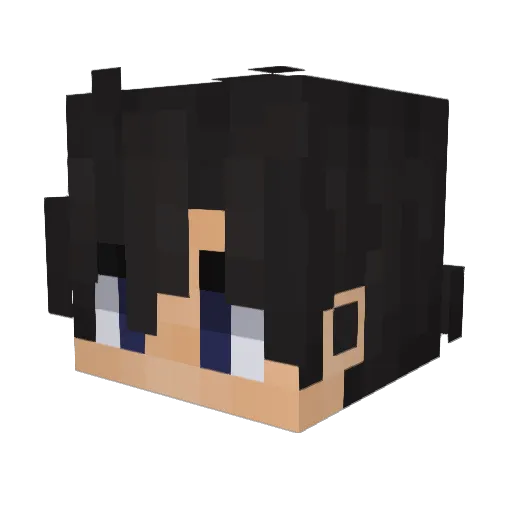 s1eepykarma Minecraft avatar head, 3D render
