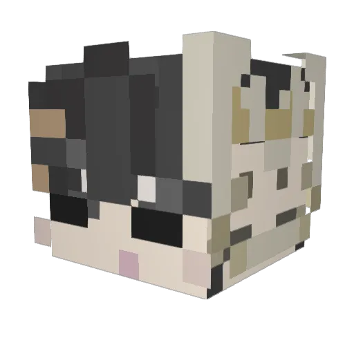 s1kax Minecraft avatar head, 3D render