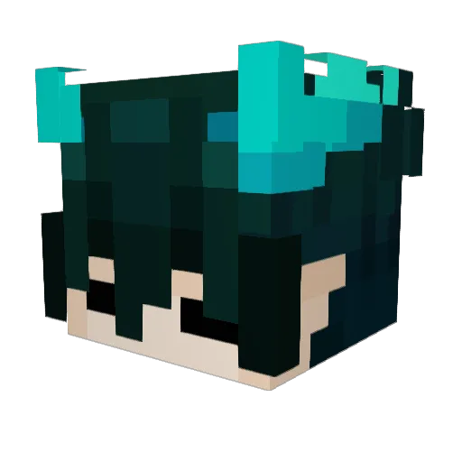 s1llyf3mboy Minecraft avatar head, 3D render