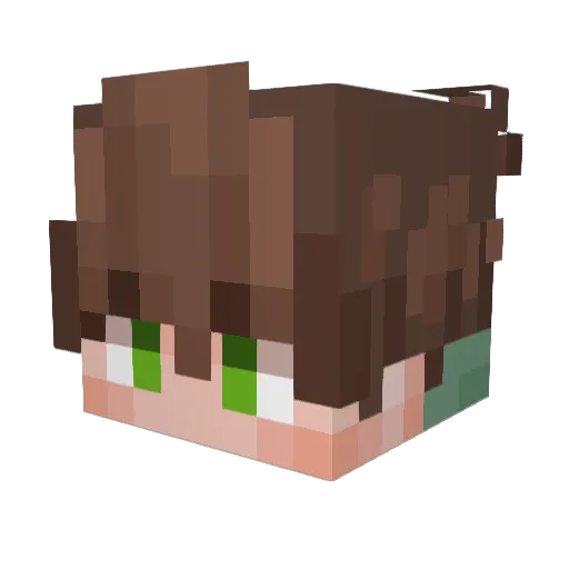 s1llyfellow Minecraft avatar head, 3D render