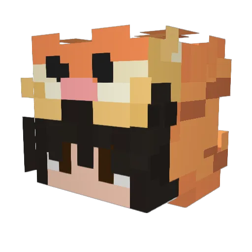 s1llysn00py Minecraft avatar head, 3D render