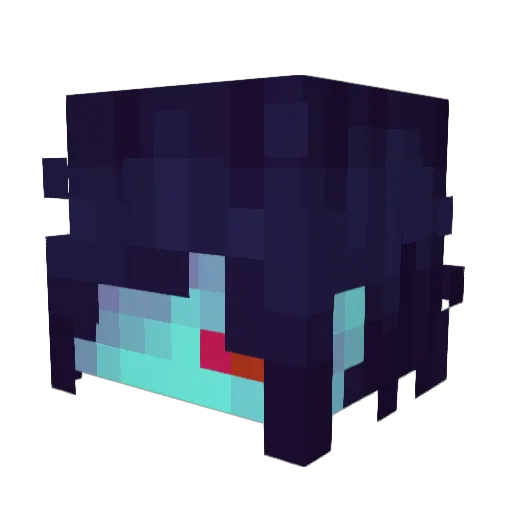s1nusitis Minecraft avatar head, 3D render