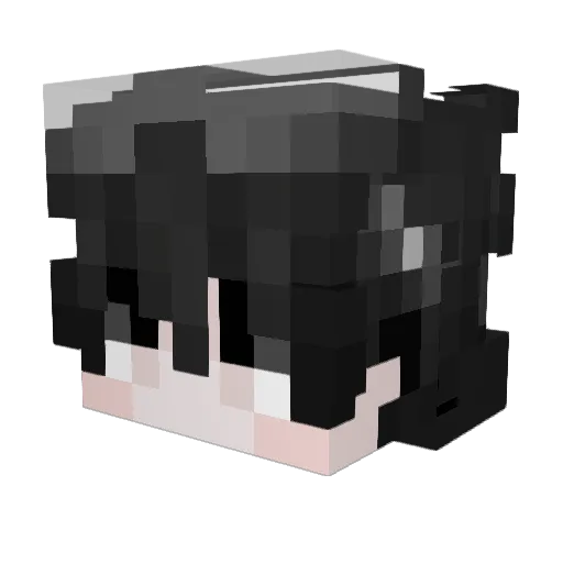 s1o9 Minecraft avatar head, 3D render