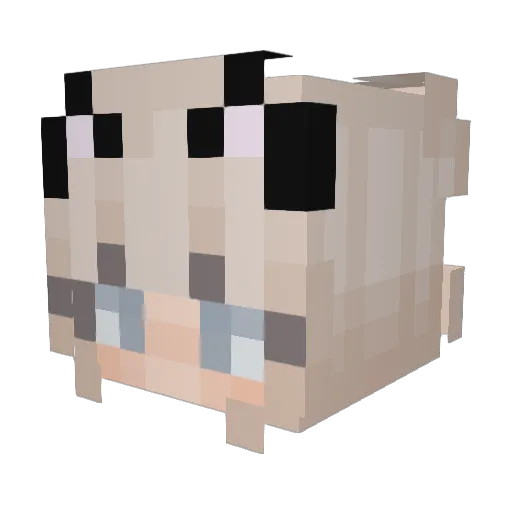 s1ouxx1e Minecraft avatar head, 3D render