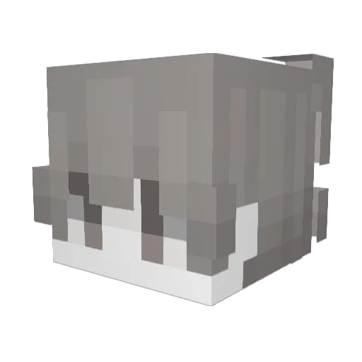 s1vl Minecraft avatar head, 3D render