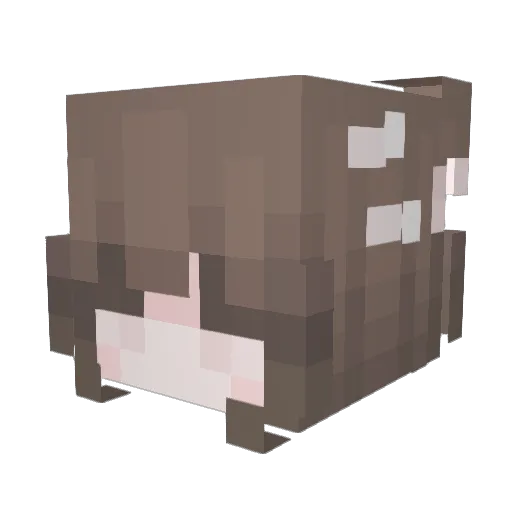 s2phi Minecraft avatar head, 3D render