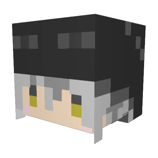 s3lsha Minecraft avatar head, 3D render