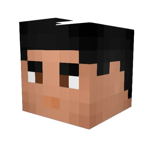 s3ndn00dles Minecraft avatar head, 3D render