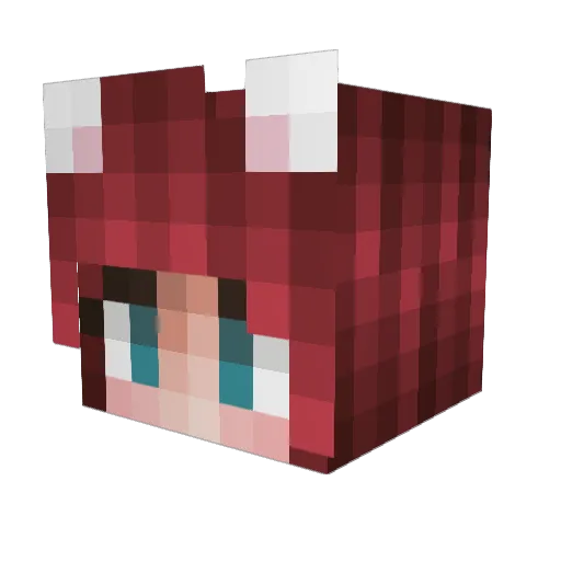 s3niig17 Minecraft avatar head, 3D render
